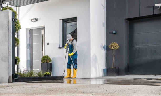 Pre-Holiday Cleaning in Ellisville, MO